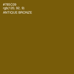 #785C09 - Antique Bronze Color Image